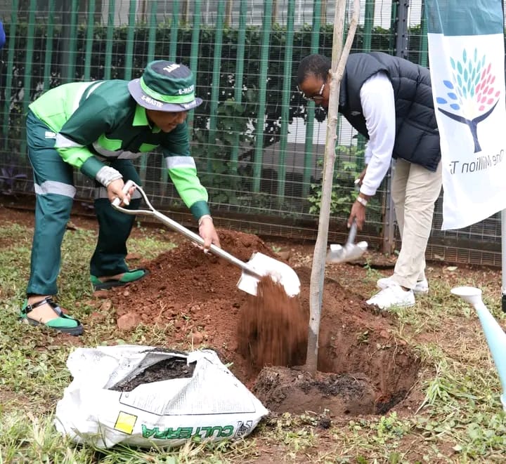 Commercial Artificial Grass